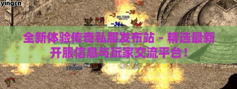 谷歌seo