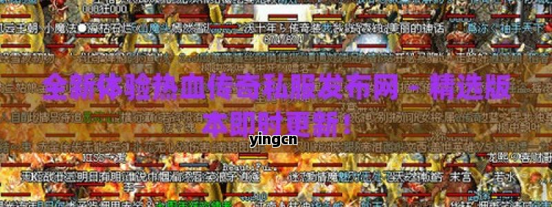 谷歌排名优化