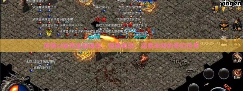 谷歌蜘蛛池