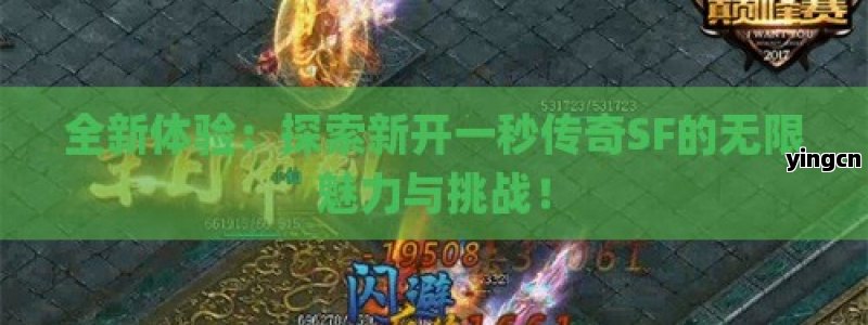 谷歌蜘蛛池