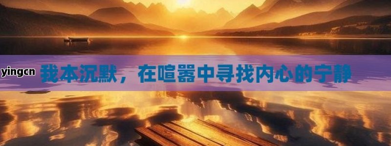 我本沉默，在喧嚣中寻找内心的宁静