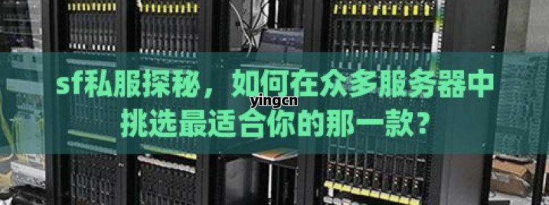 sf私服探秘，如何在众多服务器中挑选最适合你的那一款？