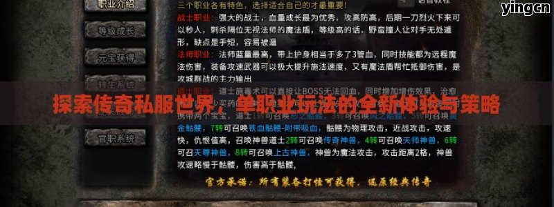 探索传奇私服世界，单职业玩法的全新体验与策略