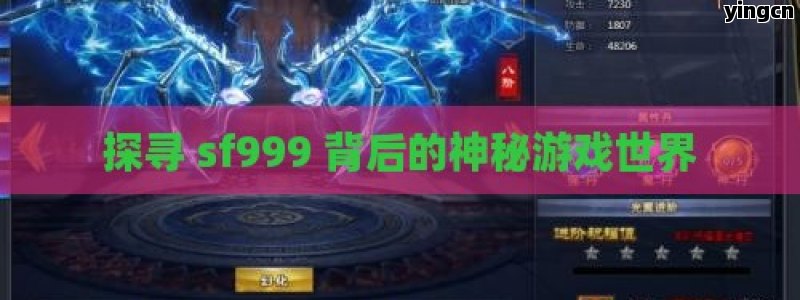 探寻 sf999 背后的神秘游戏世界