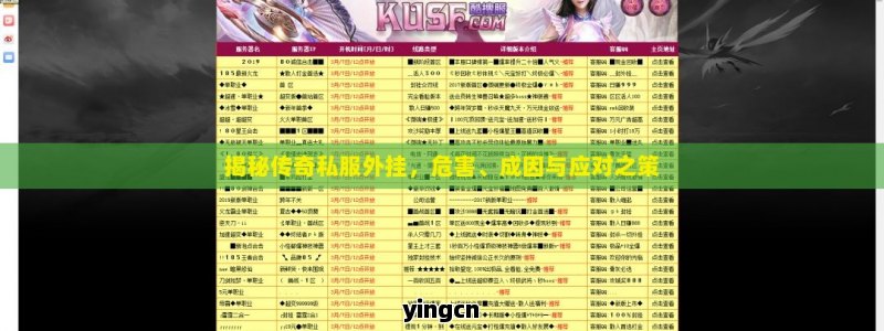 揭秘传奇私服外挂，危害、成因与应对之策