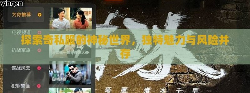 探索奇私服的神秘世界，独特魅力与风险并存