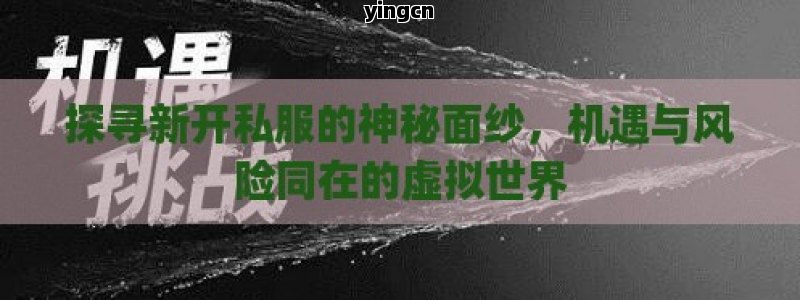 探寻新开私服的神秘面纱，机遇与风险同在的虚拟世界