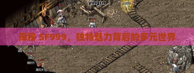 探秘 SF999，独特魅力背后的多元世界