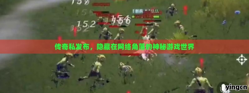 传奇私发布，隐藏在网络角落的神秘游戏世界