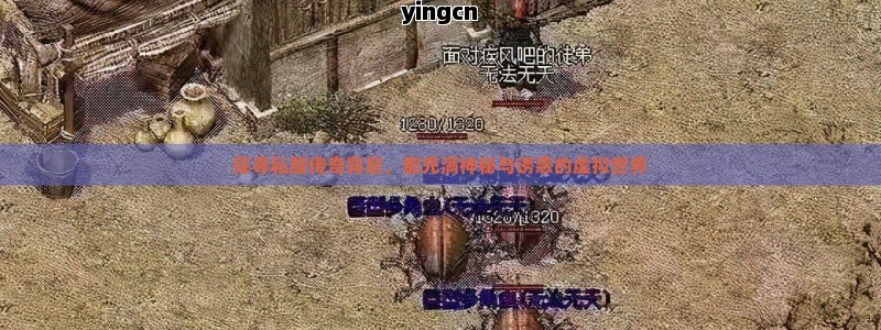 探寻私服传奇背后，那充满神秘与诱惑的虚拟世界