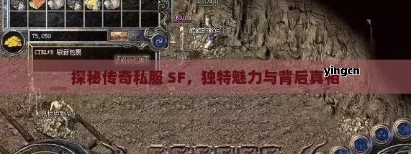探秘传奇私服 SF，独特魅力与背后真相