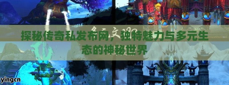 探秘传奇私发布网，独特魅力与多元生态的神秘世界