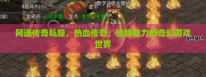 网通传奇私服，热血传奇，独特魅力的奇幻游戏世界