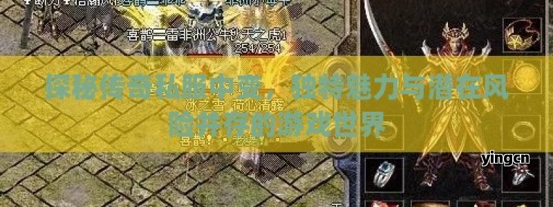 探秘传奇私服中变，独特魅力与潜在风险并存的游戏世界