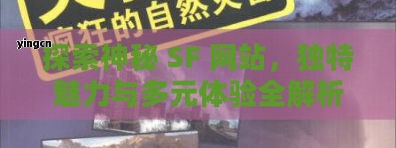 探索神秘 SF 网站，独特魅力与多元体验全解析