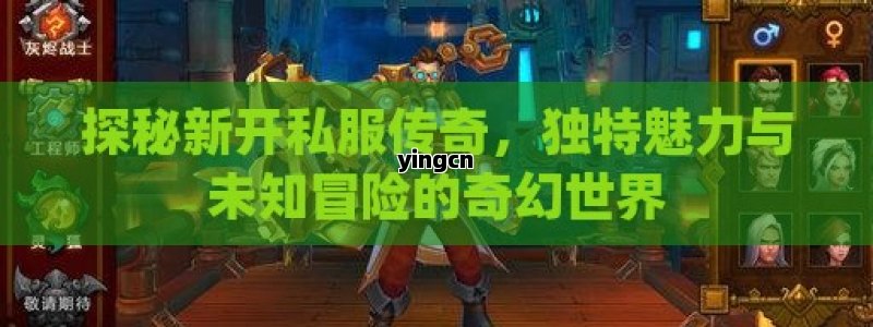 探秘新开私服传奇，独特魅力与未知冒险的奇幻世界