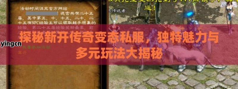 探秘新开传奇变态私服，独特魅力与多元玩法大揭秘