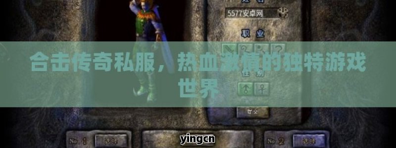 合击传奇私服，热血激情的独特游戏世界