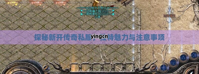 探秘新开传奇私服，独特魅力与注意事项