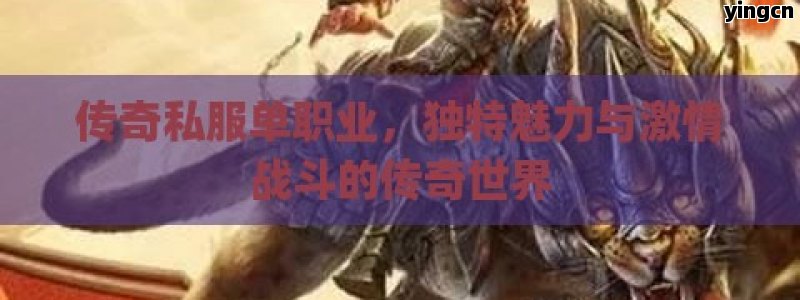 传奇私服单职业，独特魅力与激情战斗的传奇世界