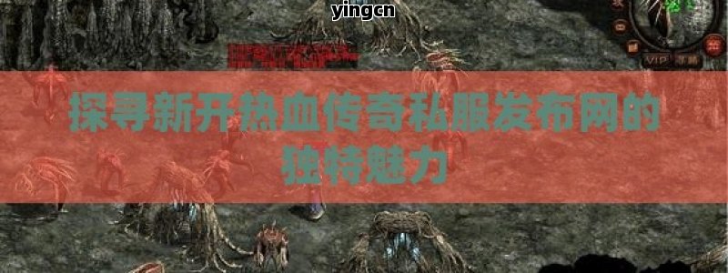 探寻新开热血传奇私服发布网的独特魅力
