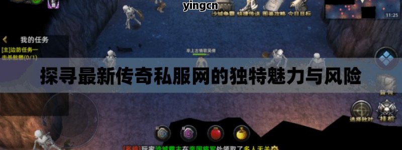 探寻最新传奇私服网的独特魅力与风险