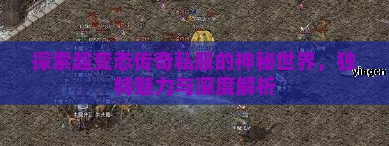 探索超变态传奇私服的神秘世界，独特魅力与深度解析