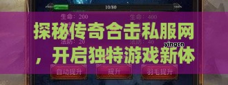 探秘传奇合击私服网，开启独特游戏新体验之旅