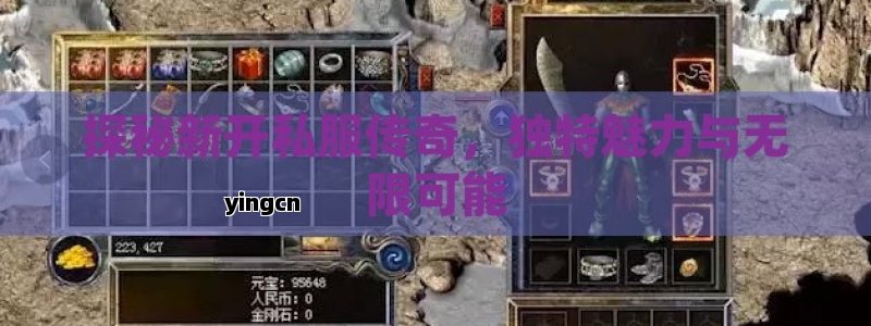 探秘新开私服传奇，独特魅力与无限可能